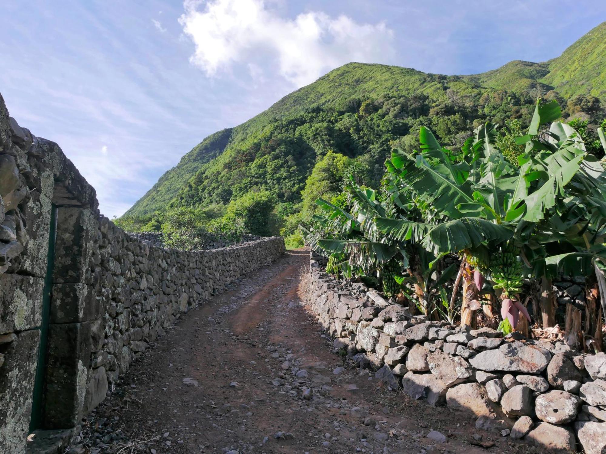 Farm stay Casas Dos Vimes
